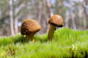 世界田径选手训练负荷监测新标准出台，田径训练内容与负荷